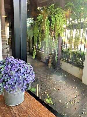 วิล ยู แมรี่ มี