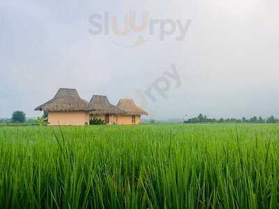 บ้านผ่อดอย กอยดาว