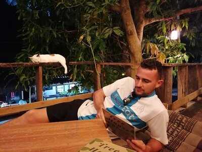 ทรีเฮ้าส์ คาเฟ่ เกาะเต่า