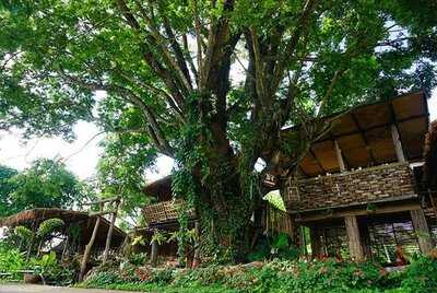 บ้านไร่ชายแดน