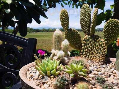 Around The World Cafe: Chapter One