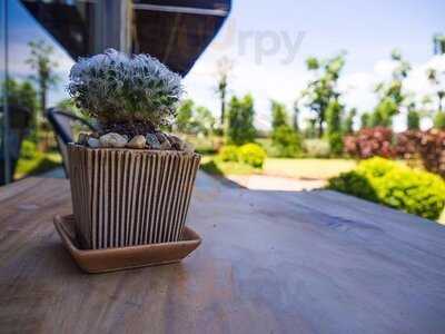 Around The World Cafe: Chapter One