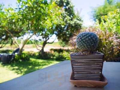 Around The World Cafe: Chapter One