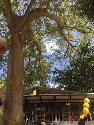 บ้านเบี้ยวฮิมปิง