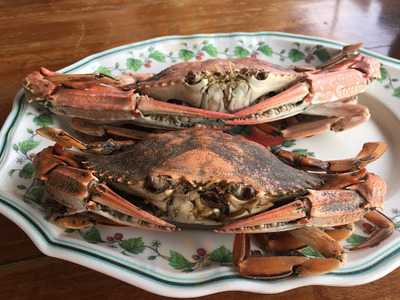 ครัวมัจฉานุ