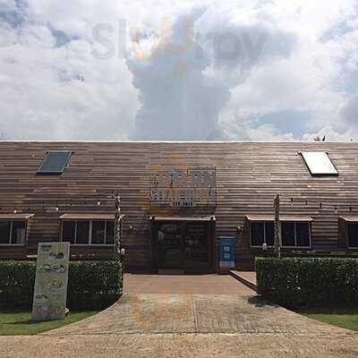 เดอะบาร์น สเต็ก เฮาส์