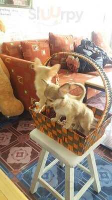 ร้าน อังเคิ้ลจา