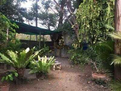 ฮิมดอยคอฟฟี่