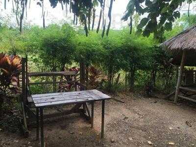 ฮิมดอยคอฟฟี่