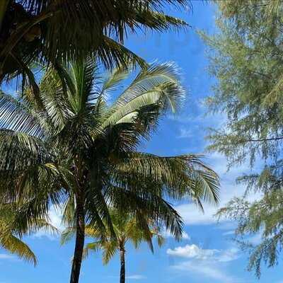 ร้านอาหาร ซันไรซ์