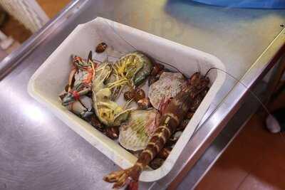 เอฟบี บันซ้าน เทอร์เรส