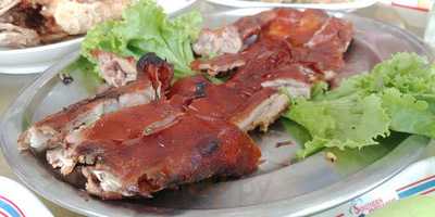 Sounthern Bird's Nest