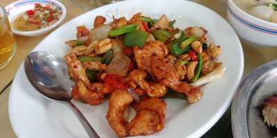 Sounthern Bird's Nest