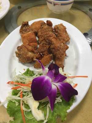 Sounthern Bird's Nest