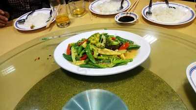 Sounthern Bird's Nest