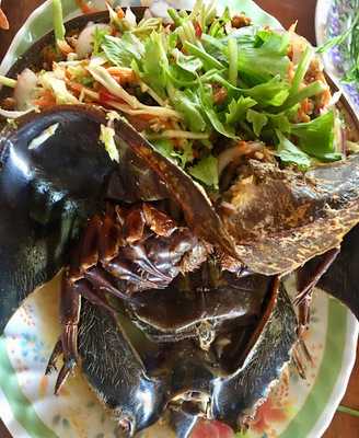 ร้านอาหารดาวทะเลซีฟู้ด