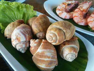 สุดทางรัก