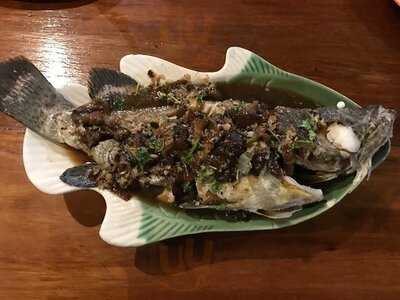 ซีเดอะซันซีฟู๊ด