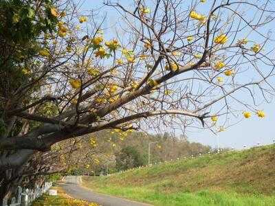 ร้านอาหาร ครัวเจ๊อ่วย