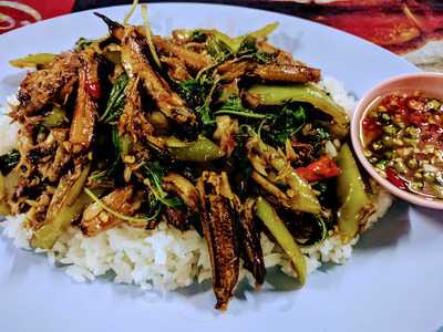 บ้านสวนดอกคูน