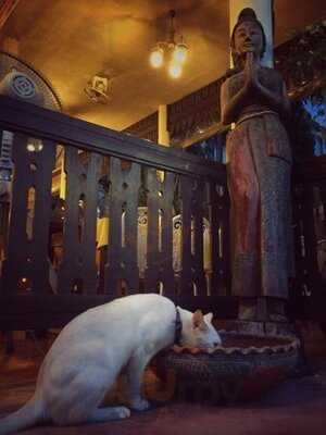 Somsakdi's Resturant