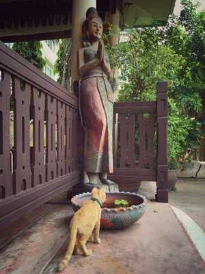 Somsakdi's Resturant