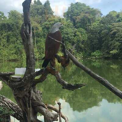 คนพลัดถิ่น