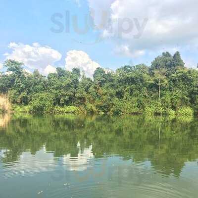 คนพลัดถิ่น