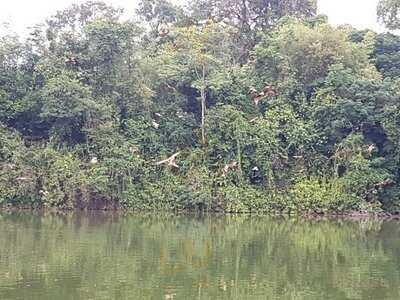 คนพลัดถิ่น