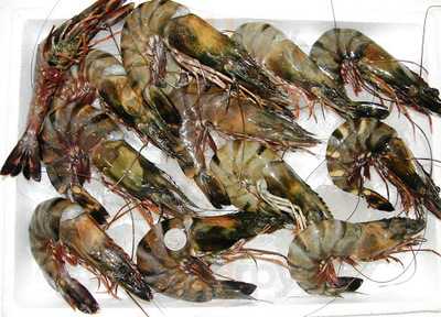 Høvdingen Bar Og Restaurant