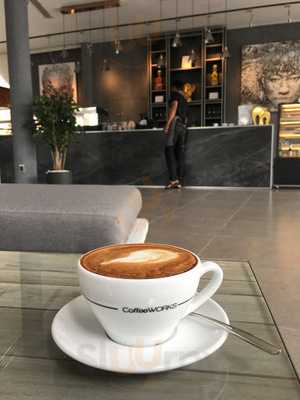 Gallery 228 Lifestore