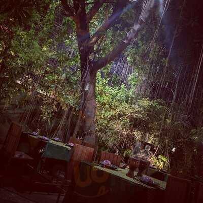 Once Upon A Time At Ruen Jao Khun Ou