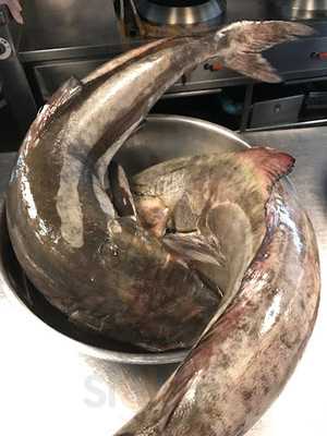 The House Of Smooth Curry