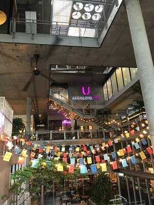 The Commons Co., Ltd.