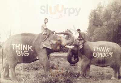 ร้านอาหาร แคบแบเจส แอนด์ คอนดอมส์