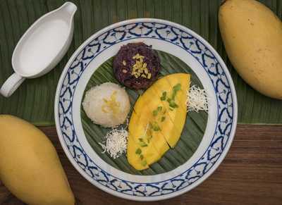 Flow Oasis Pool Lounge