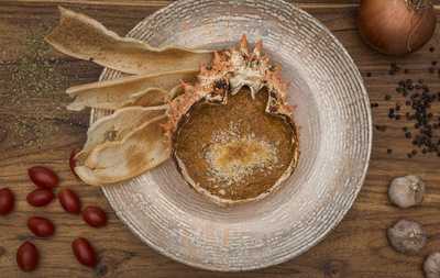 Flow Oasis Pool Lounge