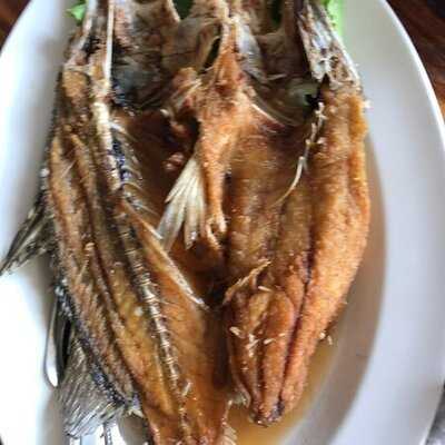 ร้านอาหาร ครัวต้นไทร