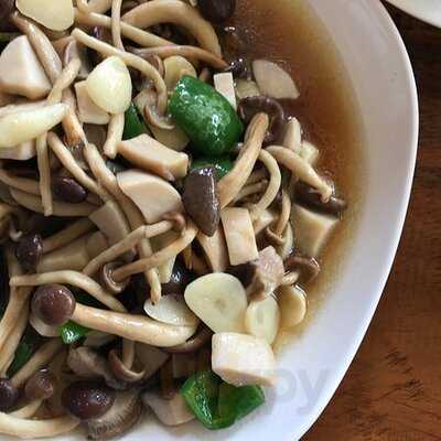 ร้านอาหาร ครัวต้นไทร