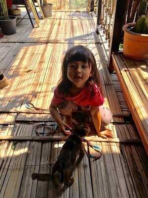 ธรรมดา คาเฟ่