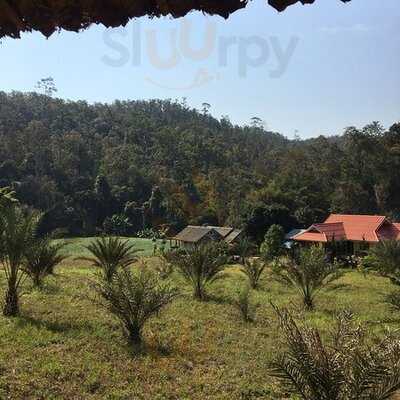 แพมบก คอฟฟี่