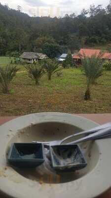 แพมบก คอฟฟี่