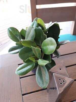 Peppina On The Beach