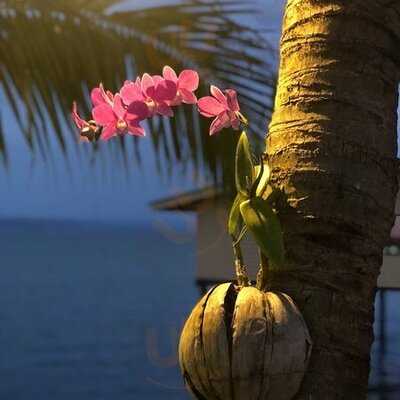 ธัญรัต ซีฟู้ด