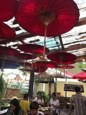 ขนมจีน ต้นก้ามปู