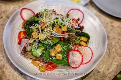 Another Hound Cafe (central Embassy)