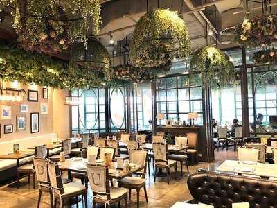 Audrey Cafe Des Fleurs