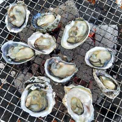 เจ๊จุก อาหารทะเล