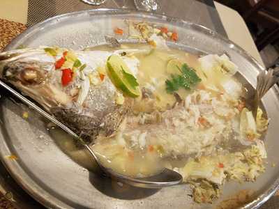 ร้านอาหาร โซเฟีย