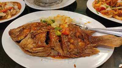 ร้านอาหาร โซเฟีย